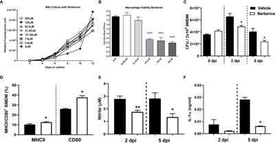 Evaluation of Berberine as an Adjunct to TB Treatment